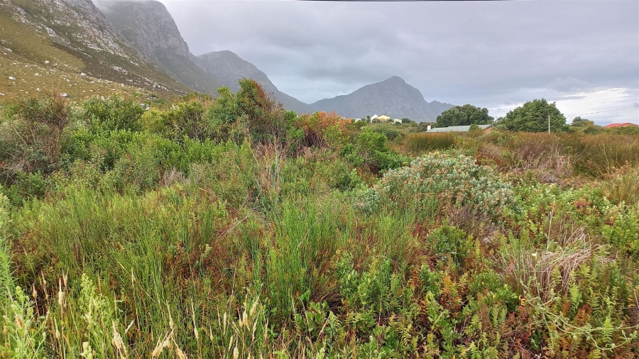 0 Bedroom Property for Sale in Bettys Bay Western Cape